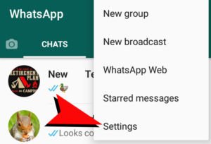 WhatsApp Dropdown Menu