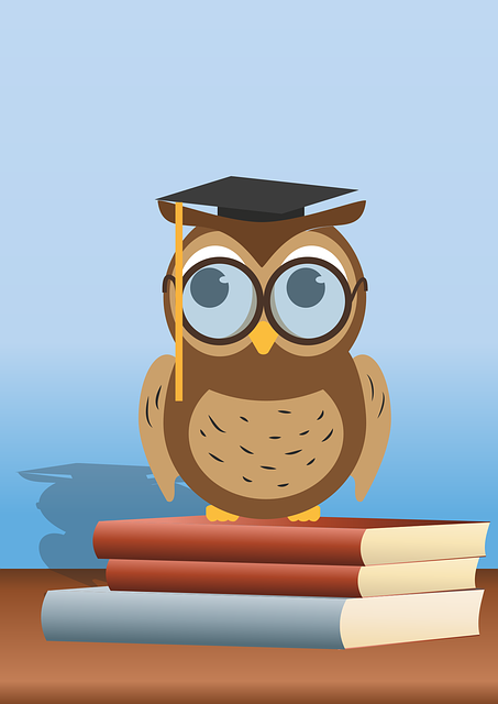 Key Stage 3 Revision Owl